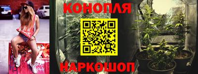 дмт Донской