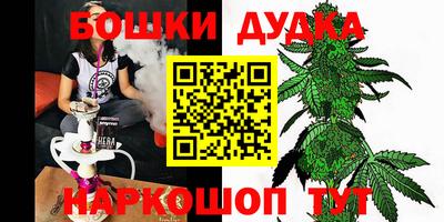 гашик Дубна
