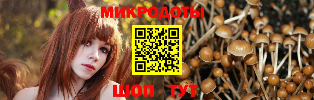 где можно купить   Псилоцибиновые грибы мицелий  Вход с VPN  Галлюциногенные грибы MAGIC MUSHROOMS  Мариинск 