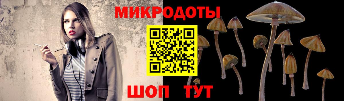 Галлюциногенные грибы Cubensis Мариинск